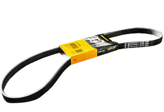 Ремінь поліклиновий CONTITECH