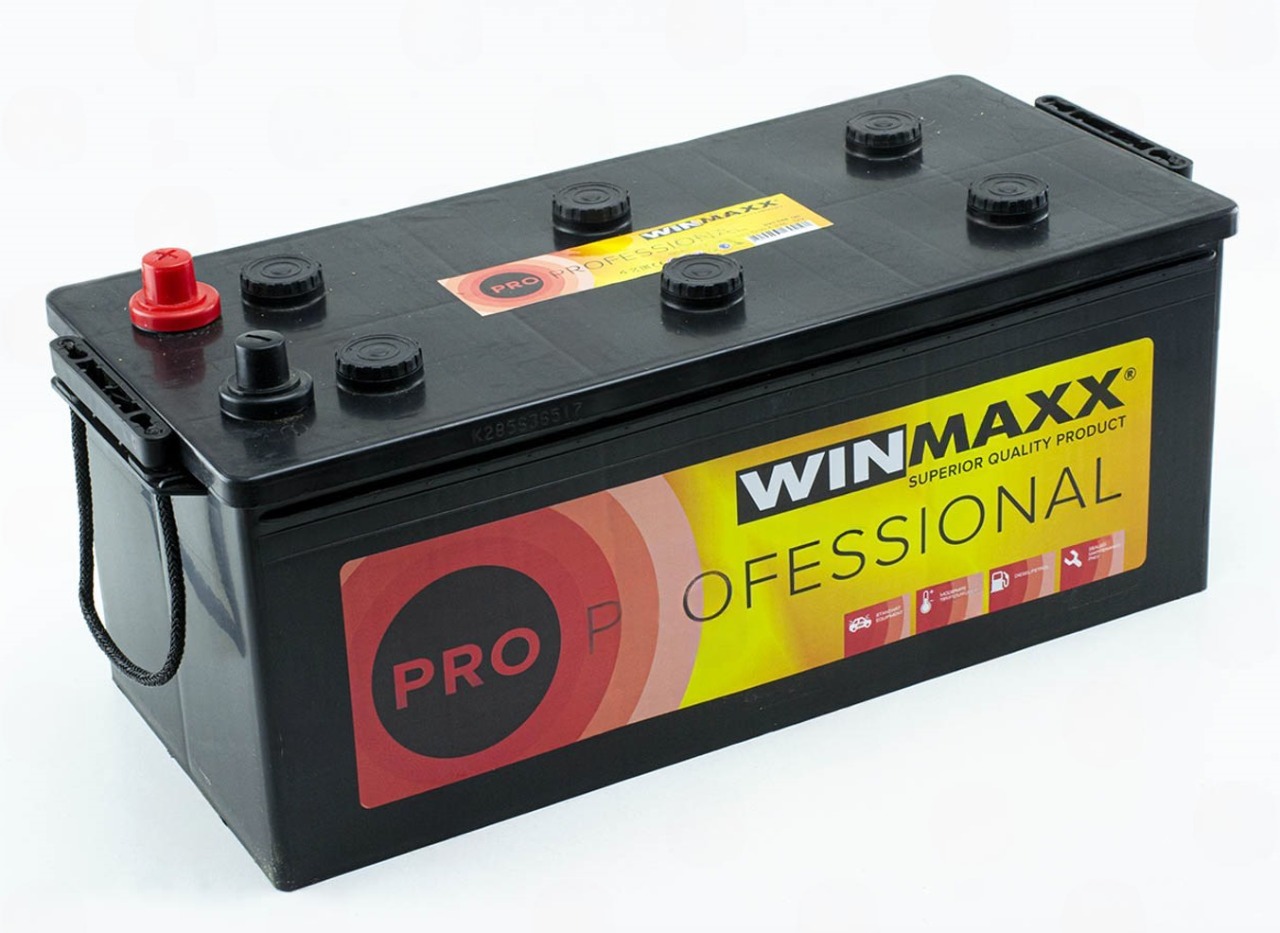 Аккумулятор WINMAXX 195Ач 1200А PROFESSIONAL PRO (B) (1)  (гарантия 12 мес)