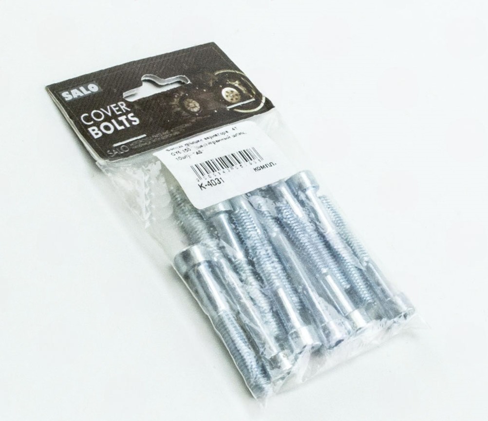 болты крышки вариатора GY6-150 (шестигранный шлиц 10шт)