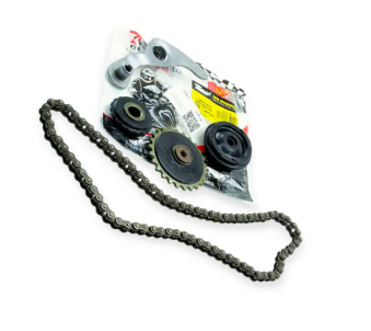 натяжитель DELTA цепи распредвала (3 ролика и рычаг, цепь)