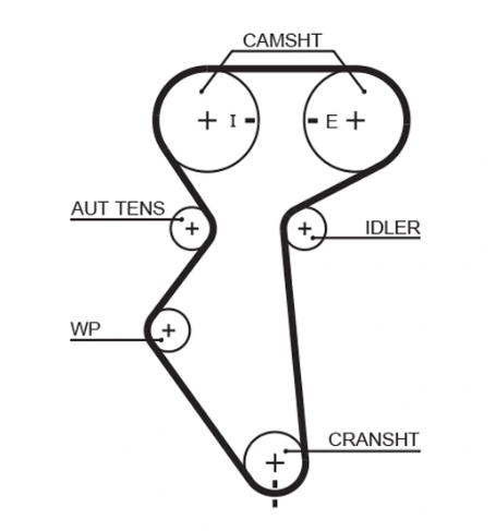 ремень ГРМ Lanos 1.6 16кл, Aveo, Lacetti 1.6 127зуб (GATES) 5419 5419XS - зображення 2