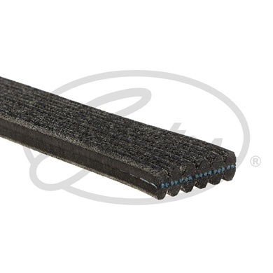Ремінь поліклиновий CONTITECH  6DPK1188 - зображення 3