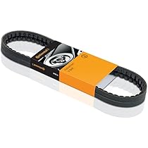 Ремінь поліклиновий CONTITECH