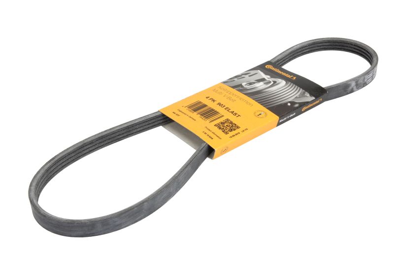 Ремінь поліклиновий CONTITECH