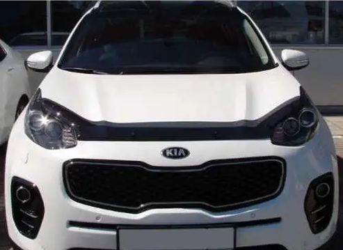 мухобойка Mitsubishi Pajero Sport III 2016-2019 VT 52