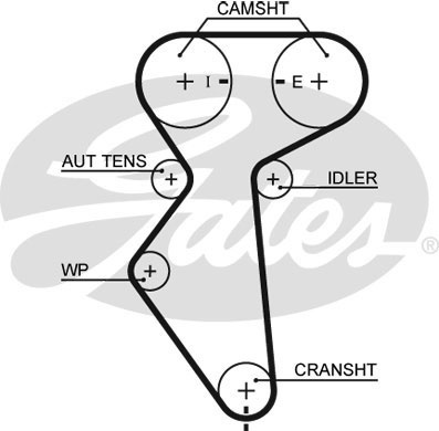 Комплект ременя ГРМ K015419XS - зображення 2