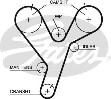 Комплект ременя ГРМ K015446XS - зображення 2
