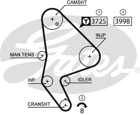 Комплект ременя ГРМ K015588XS - зображення 2