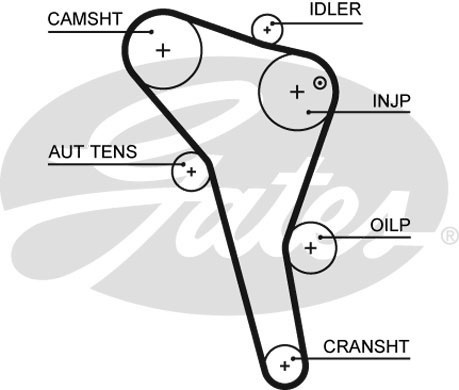 Комплект ременя ГРМ K015622XS - зображення 2
