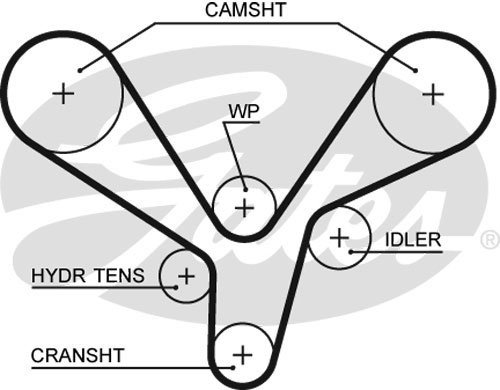 Комплект ременя ГРМ K015636XS - зображення 2