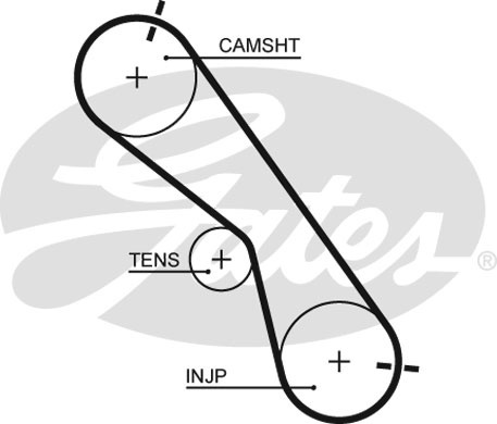 Комплект ременя ГРМ K025560XS - зображення 2