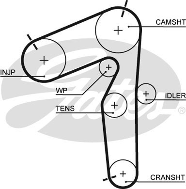 Комплект ременя ГРМ K035462XS - зображення 2
