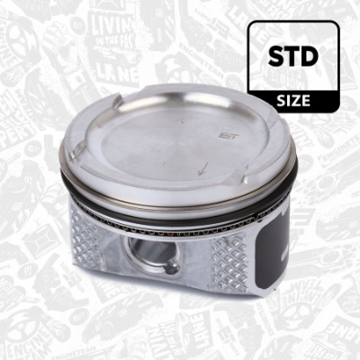 Поршень в комплекті на 1 циліндр, STD PM005700 - зображення 2