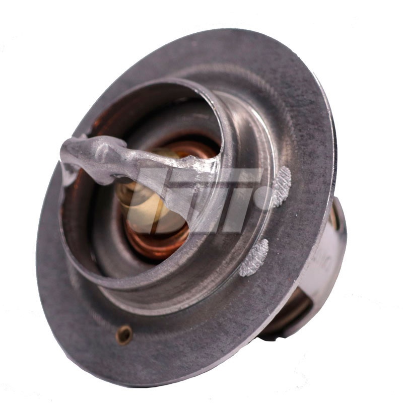 Термостат, охолоджуюча рідина TH5977.88J - зображення 2