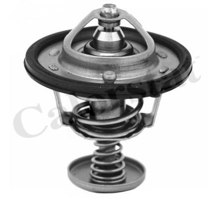 Термостат, охолоджуюча рідина