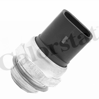 Термовимикач, вентилятор радіатора