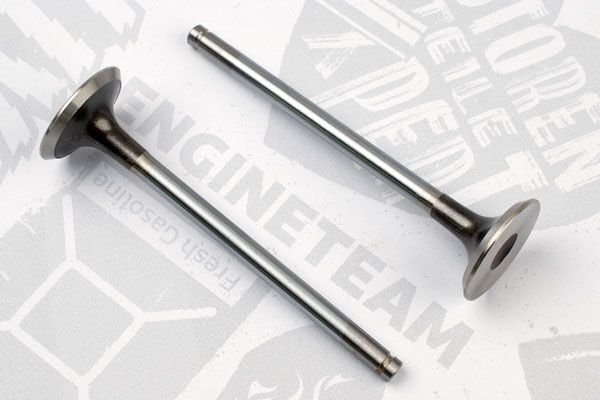 Випускний клапан VE0014 - зображення 2