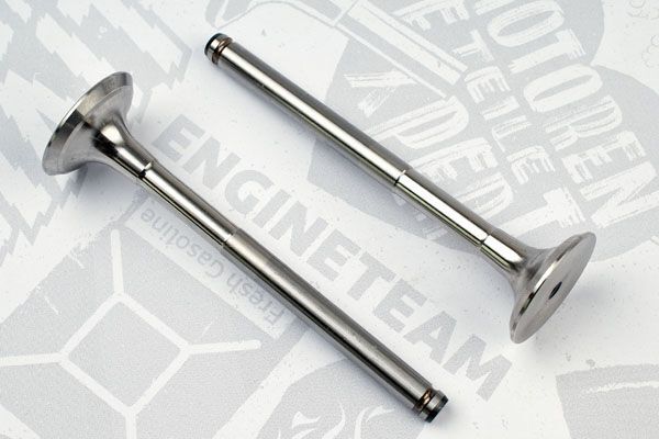 Випускний клапан VE0031 - зображення 2