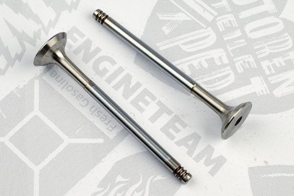 Випускний клапан VE0119 - зображення 2