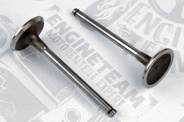 Впускний клапан VI0007 - зображення 2