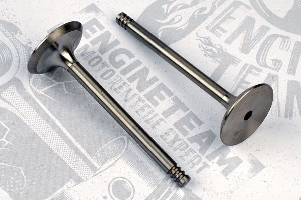 Впускний клапан VI0021 - зображення 2