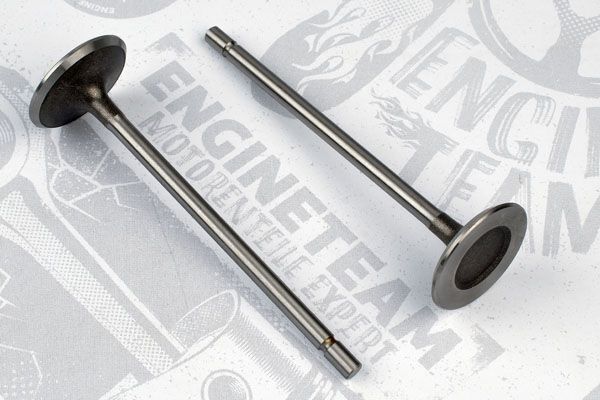 Впускний клапан VI0031 - зображення 2