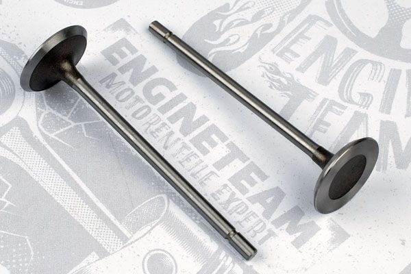 Впускний клапан VI0038 - зображення 2