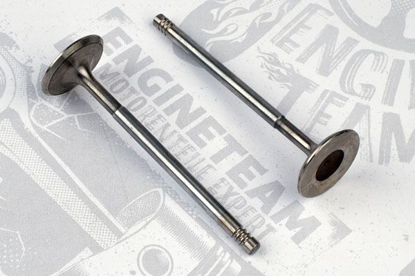 Впускний клапан VI0048 - зображення 2