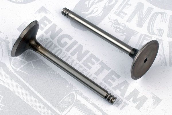 Впускний клапан VI0051 - зображення 2