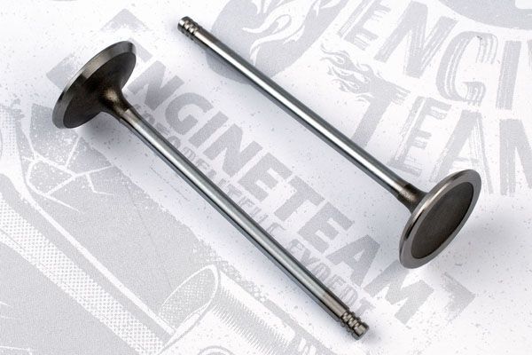 Впускний клапан VI0071 - зображення 2