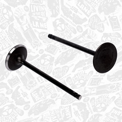 Впускний клапан VI0119 - зображення 2