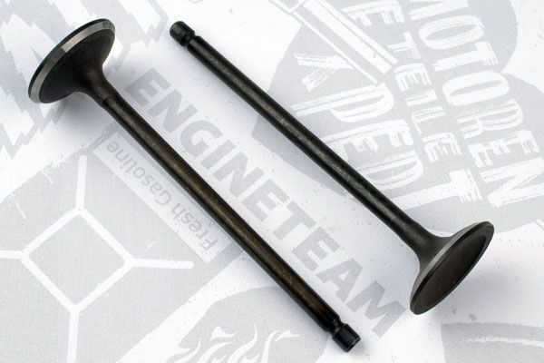 Впускний клапан VI0131 - зображення 2