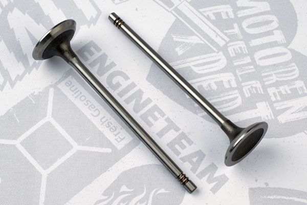 Впускний клапан VI0152 - зображення 2