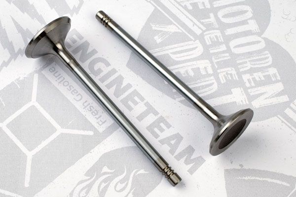 Впускний клапан VI0160 - зображення 2