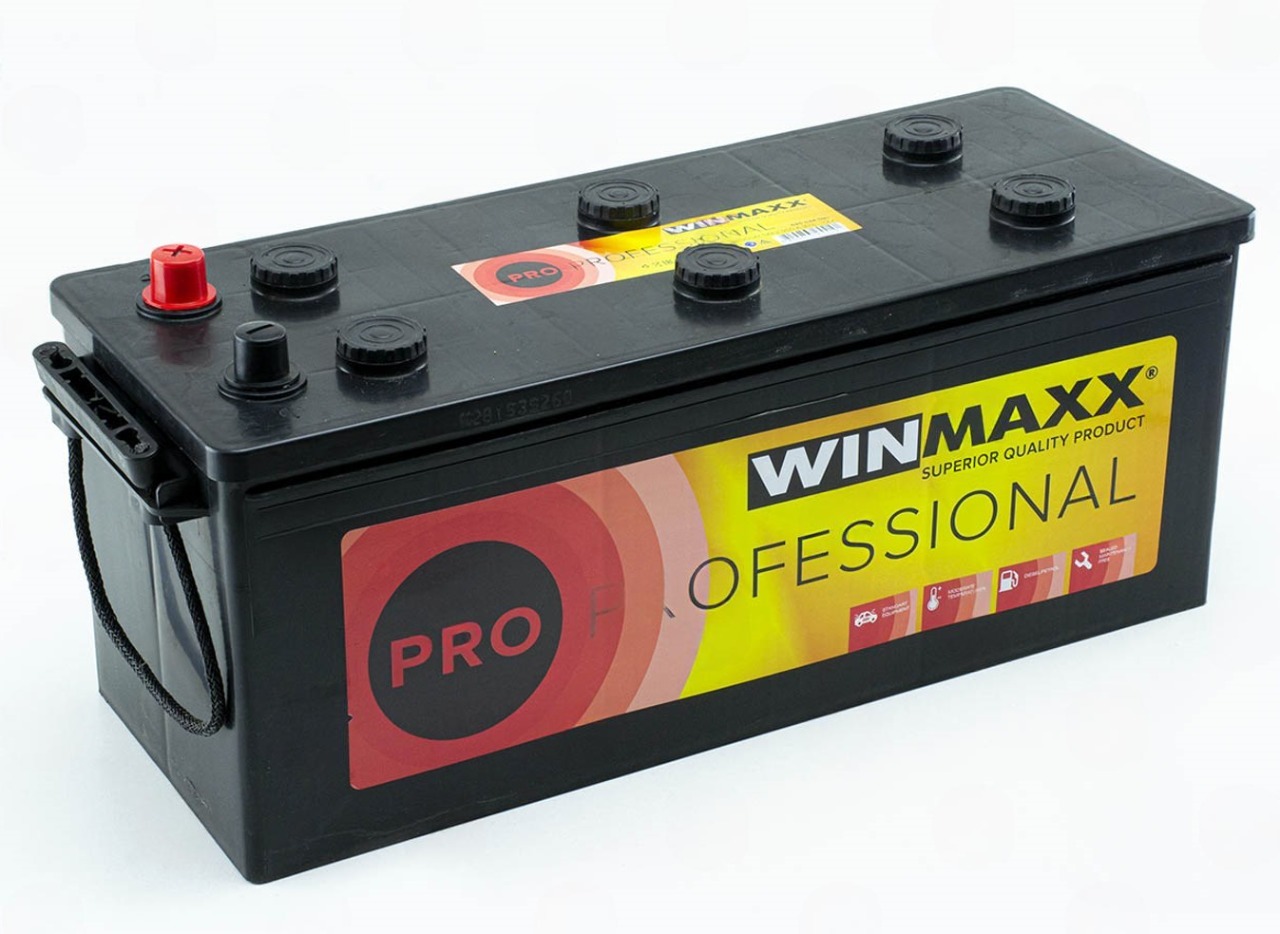 Аккумулятор WINMAXX 145Ач 950А PROFESSIONAL PRO (A) (1)  (гарантия 12 мес)