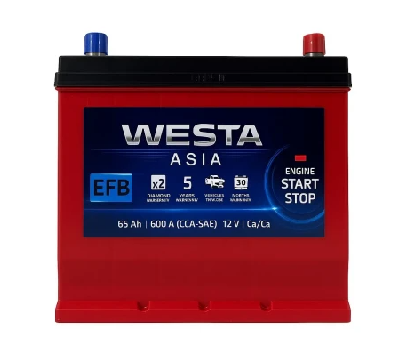 Аккумулятор   Westa  65Ач 600A Asia EFB (D24) (0) правый +