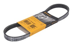 Ремінь поліклиновий CONTITECH