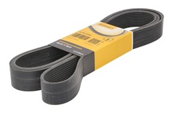 Ремінь поліклиновий CONTITECH