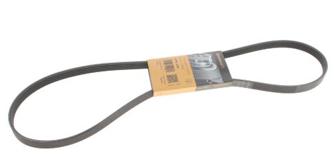 Ремінь поліклиновий CONTITECH