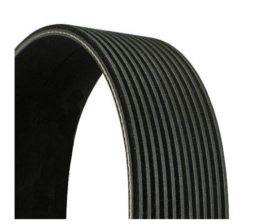 Ремінь поліклиновий CONTITECH