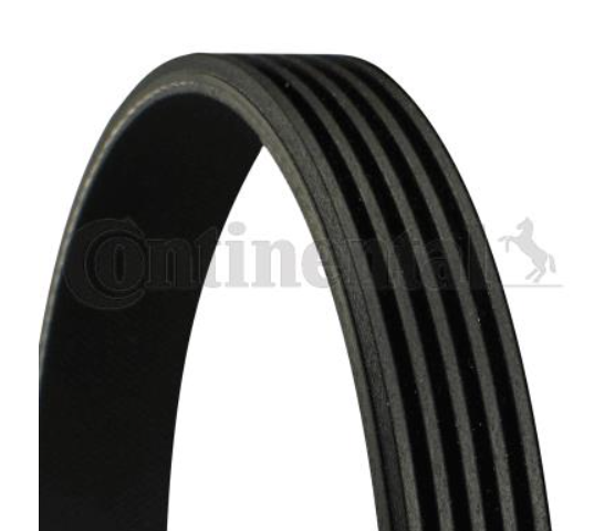 Ремінь поліклиновий CONTITECH 