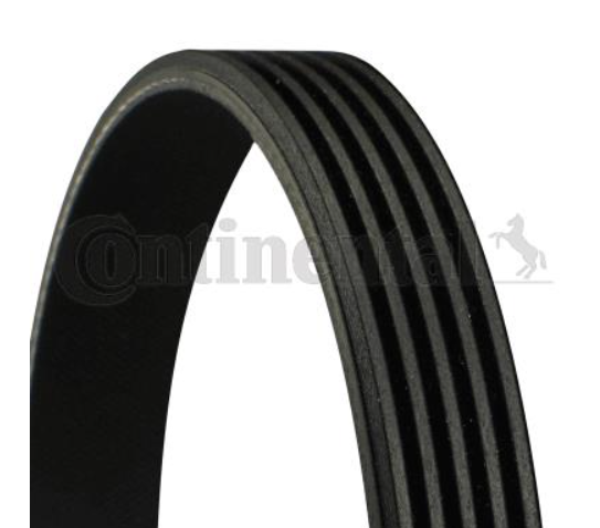 Ремінь поліклиновий CONTITECH 