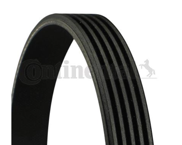 Ремінь поліклиновий CONTITECH 