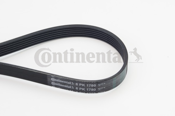 Ремінь поліклиновий CONTITECH 