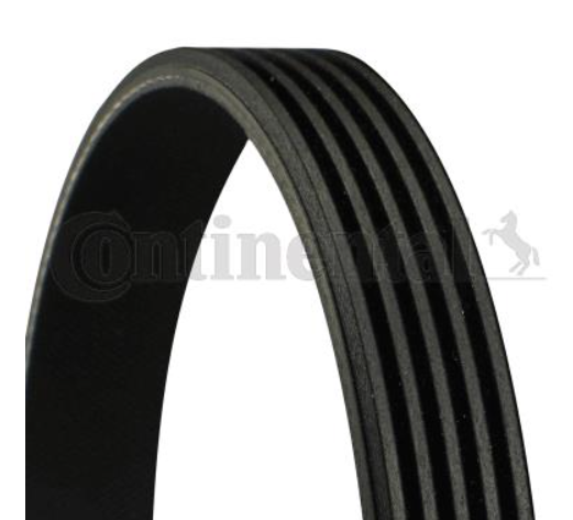 Ремінь поліклиновий CONTITECH 