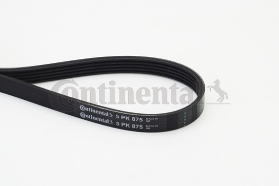 Ремінь поліклиновий CONTITECH 