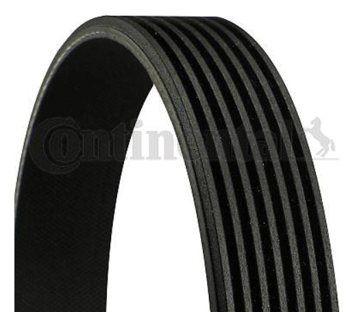 Ремінь поліклиновий CONTITECH 