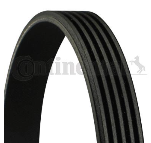 Ремінь поліклиновий CONTITECH 