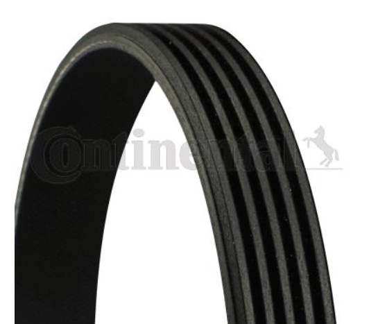 Ремінь поліклиновий CONTITECH 