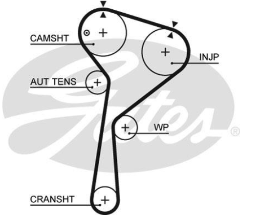 Водяний насос + комплект зубчатого ременя KP15578XS - зображення 2